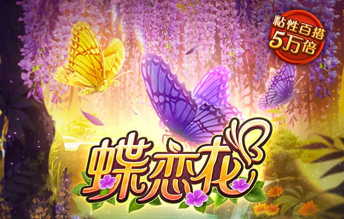 b博体育官网